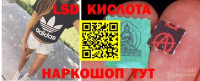 прущие грибы Прокопьевск