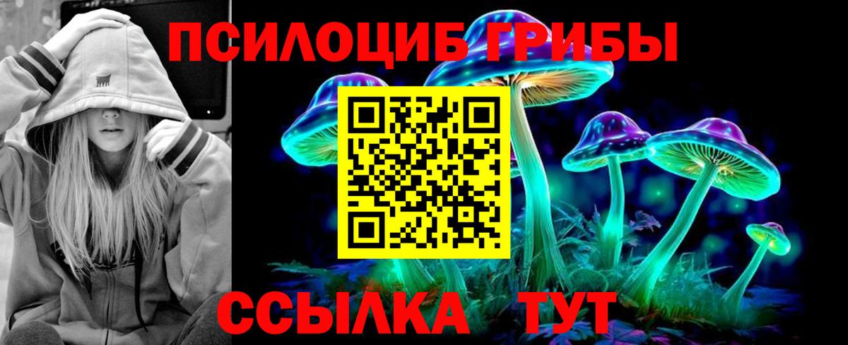 Псилоцибиновые грибы мицелий Котельники